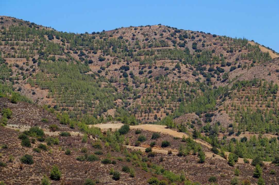 Machairas Monastery