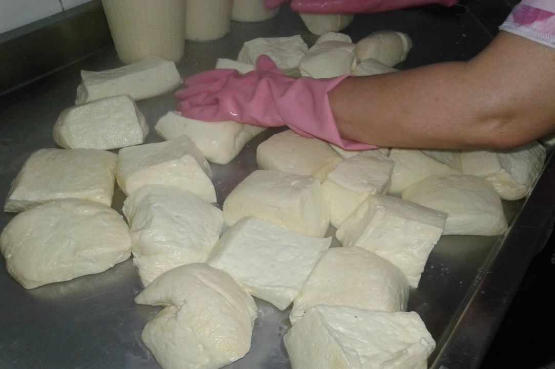Halloumi
