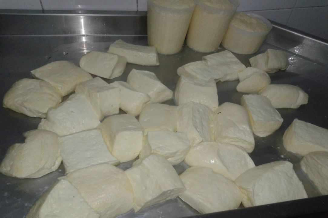 Halloumi