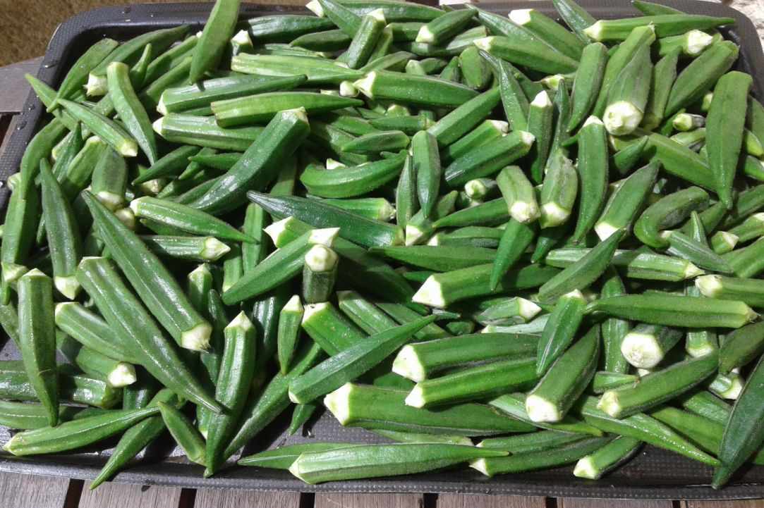 "Mpamies laderes" - okra ladies fingers gallery image 4