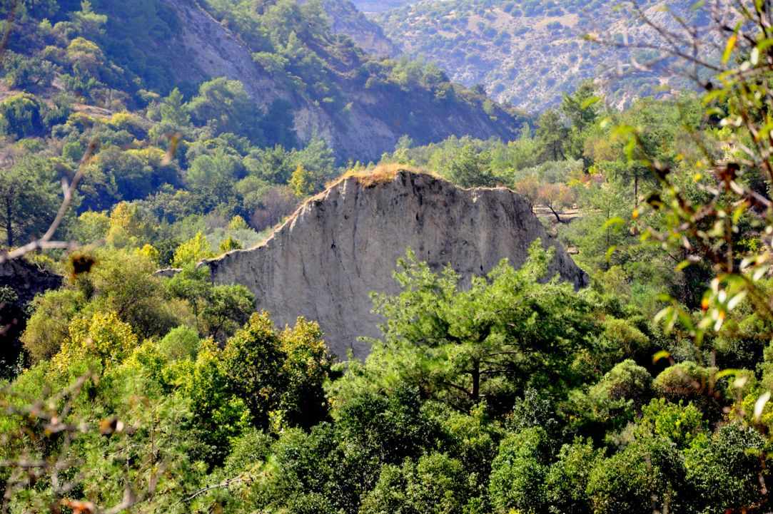 Limnatis