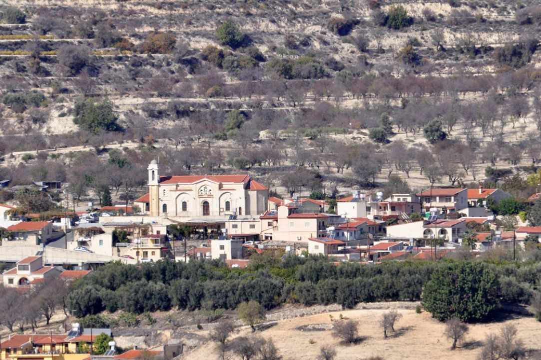 Limnatis