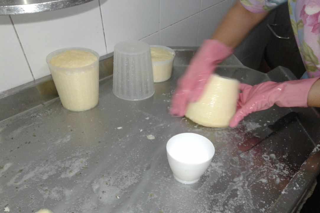 Halloumi