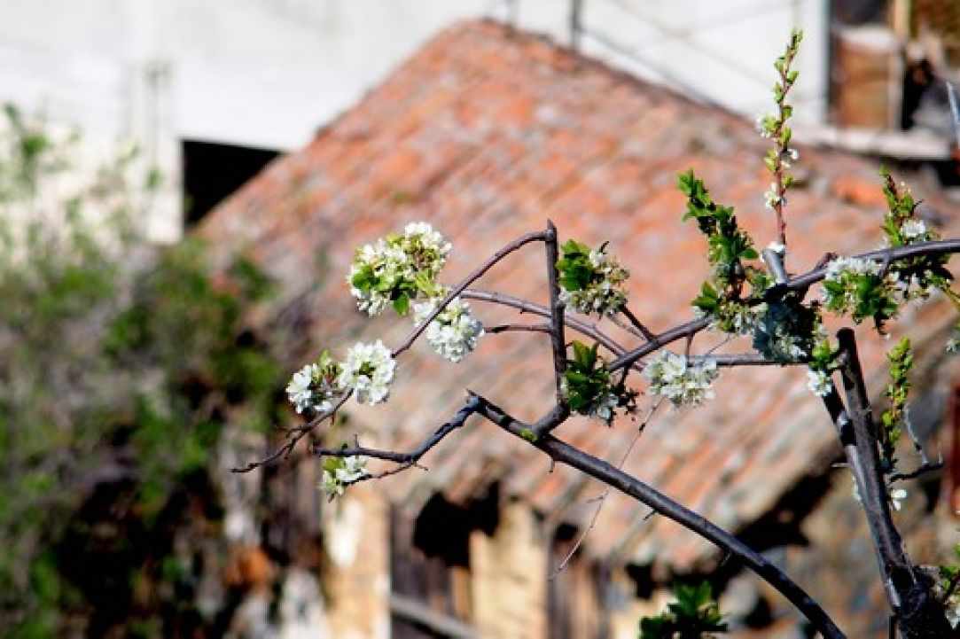 Potamitissa Village