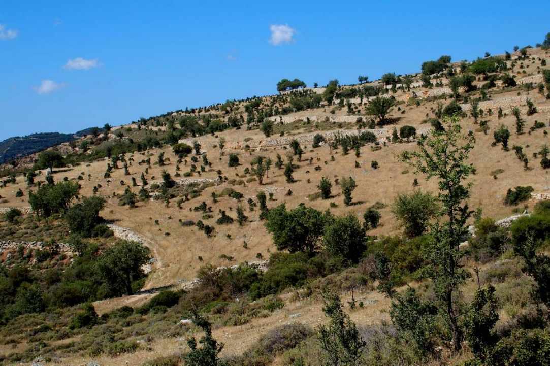 Dora Village