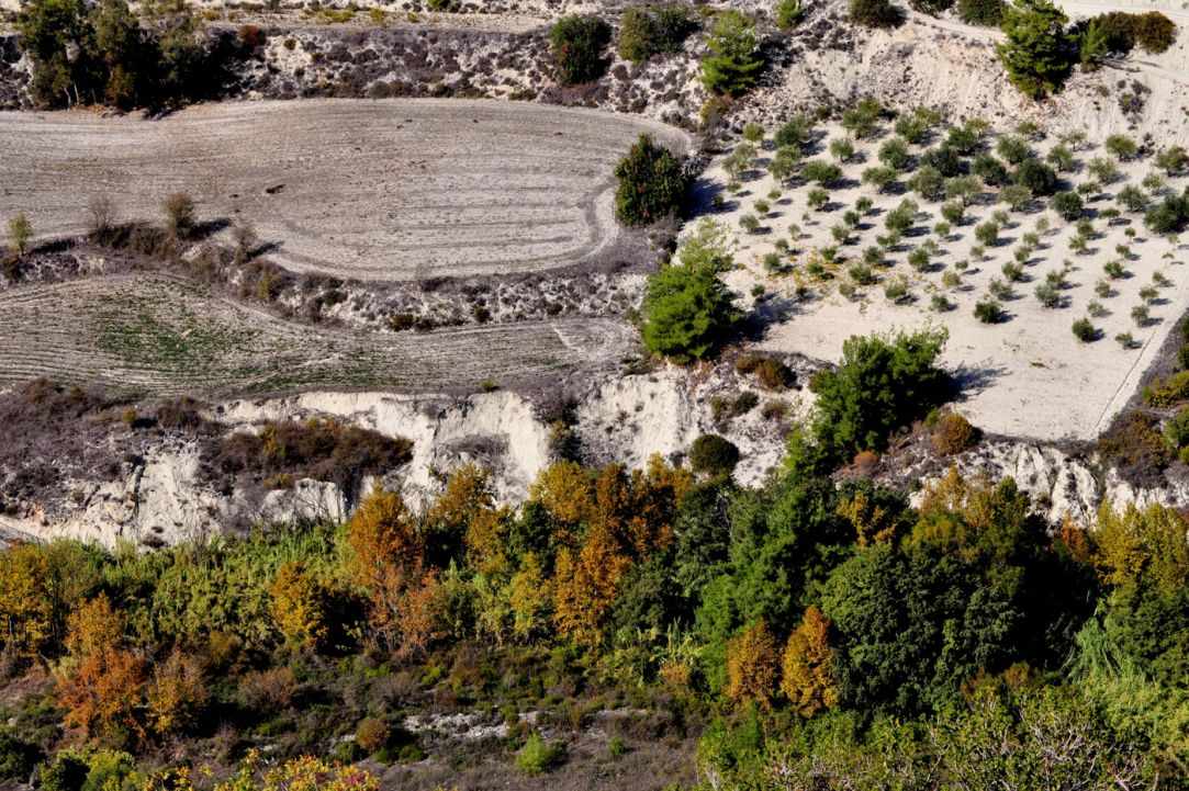 Limnatis