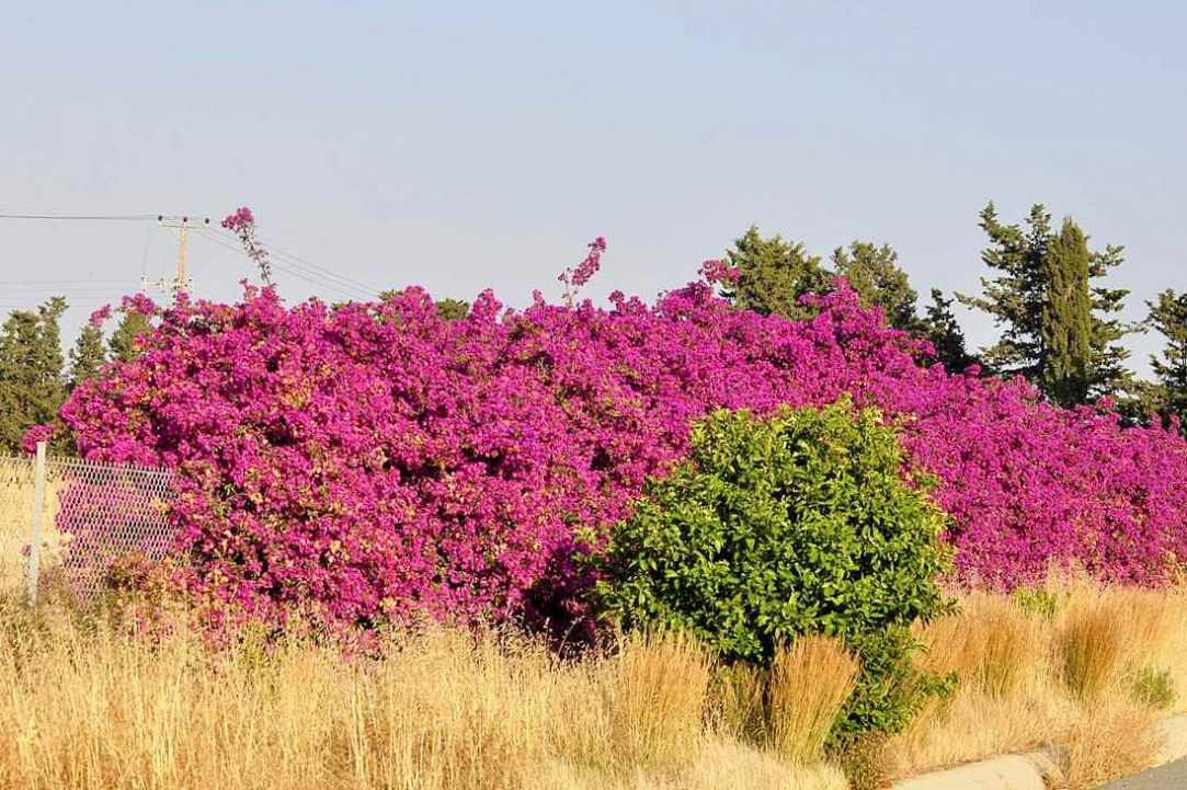 Highway A6: Limassol - Paphos