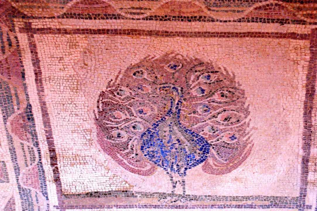 The House of Dionysos
