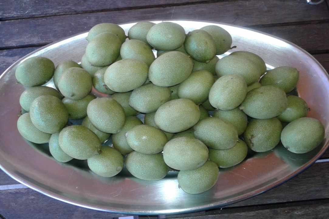 "Karidaki glyko" - sweet walnut