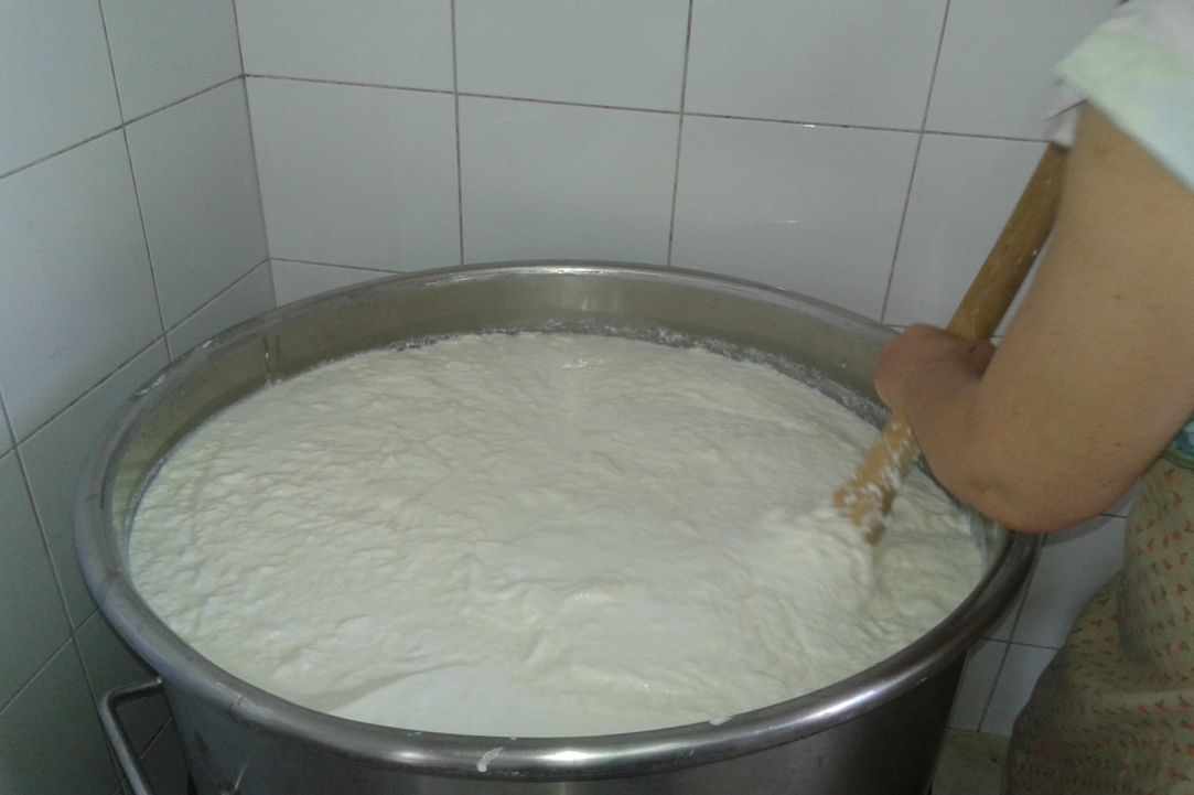 Halloumi