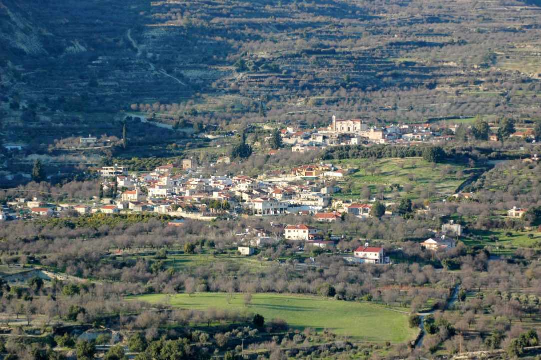 Limnatis