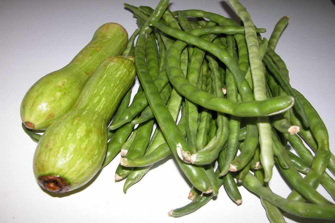 Louvi me kolokithia(Black eye beans/peas with palkapa zucchini)