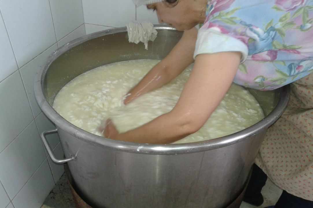 Halloumi