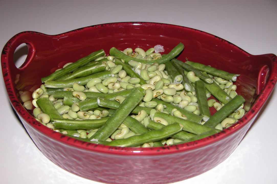 Louvi me kolokithia(Black eye beans/peas with palkapa zucchini)