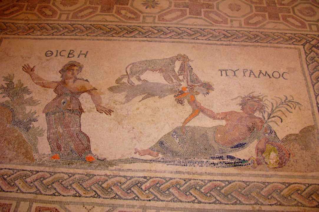 The House of Dionysos