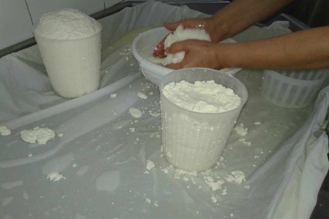 Halloumi