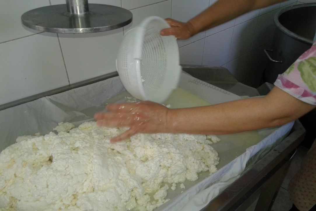 Halloumi