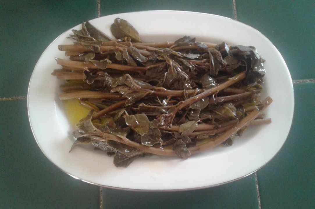 "Kapari" - Caper plant