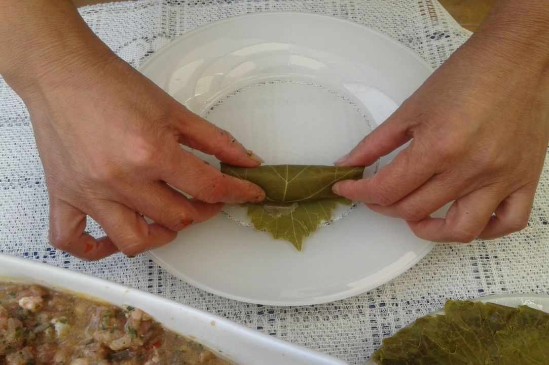 "Koupepia"