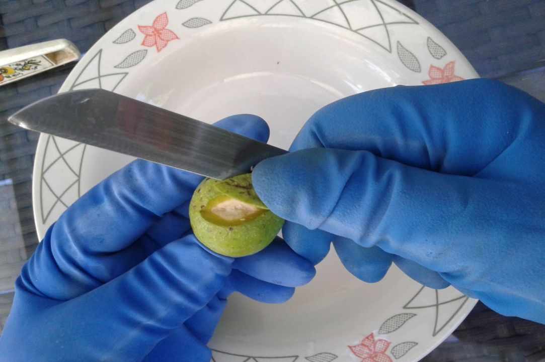 "Karidaki glyko" - sweet walnut