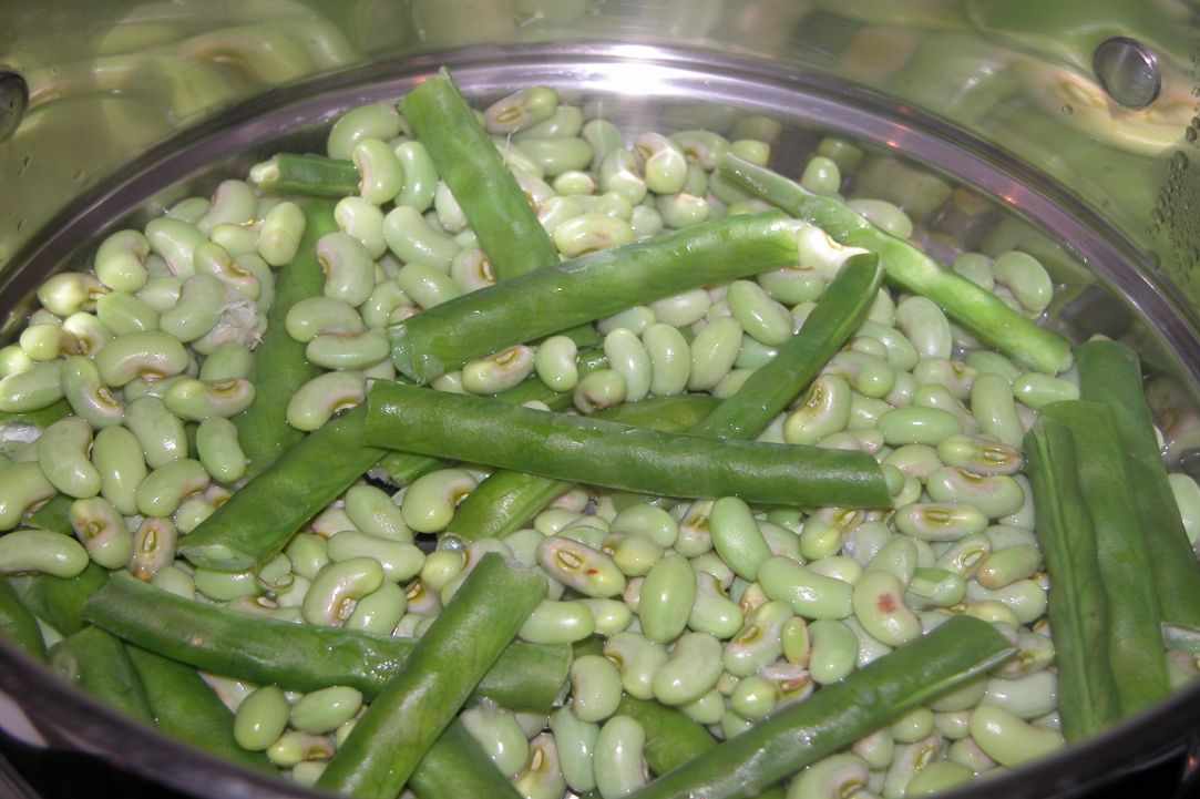 Louvi me kolokithia(Black eye beans/peas with palkapa zucchini)