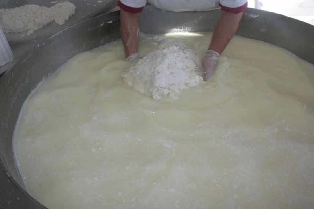 Anari Cheese gallery image 1