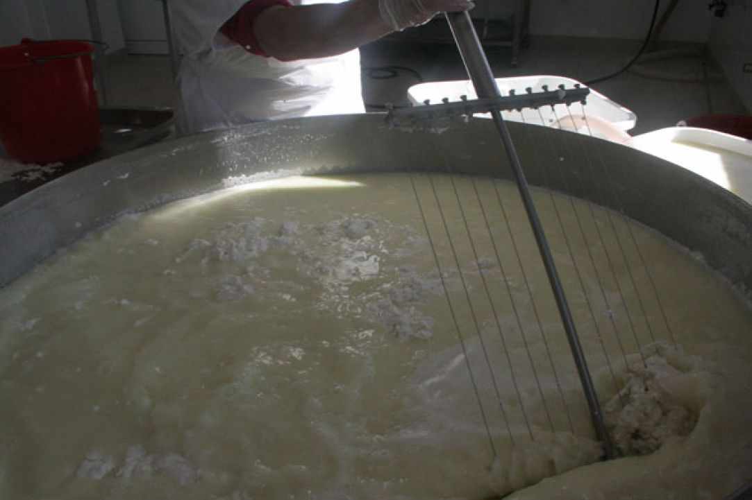 Anari Cheese gallery image 2