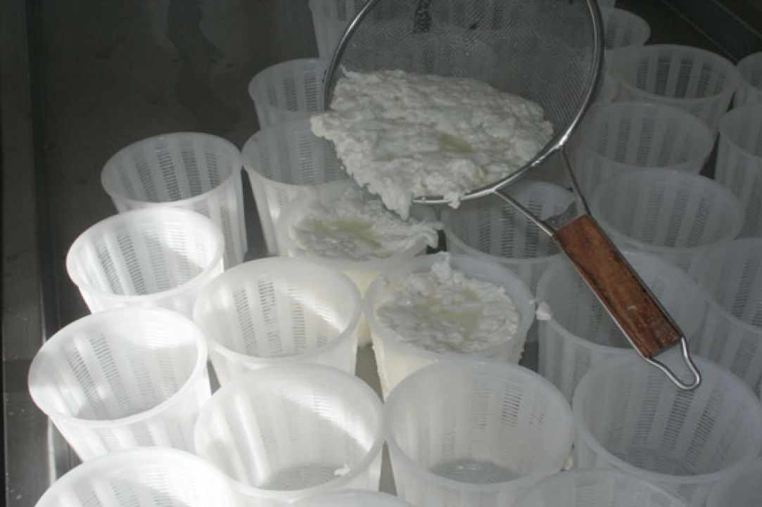 Anari Cheese gallery image 4