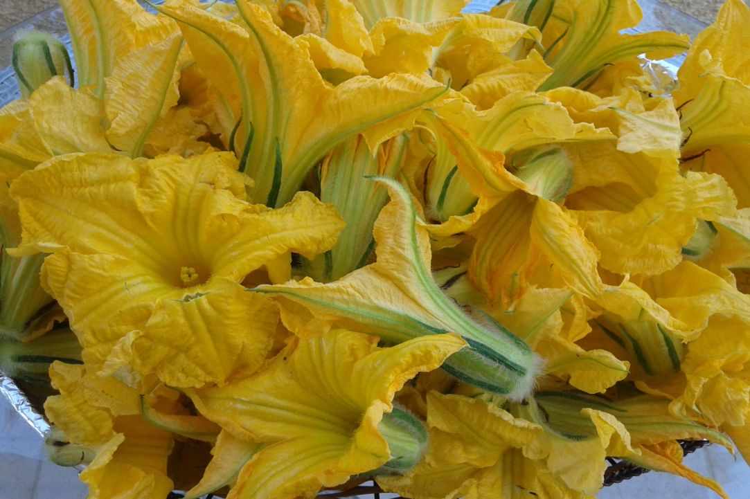 Stuffed zucchini blossoms recipe gallery image 1
