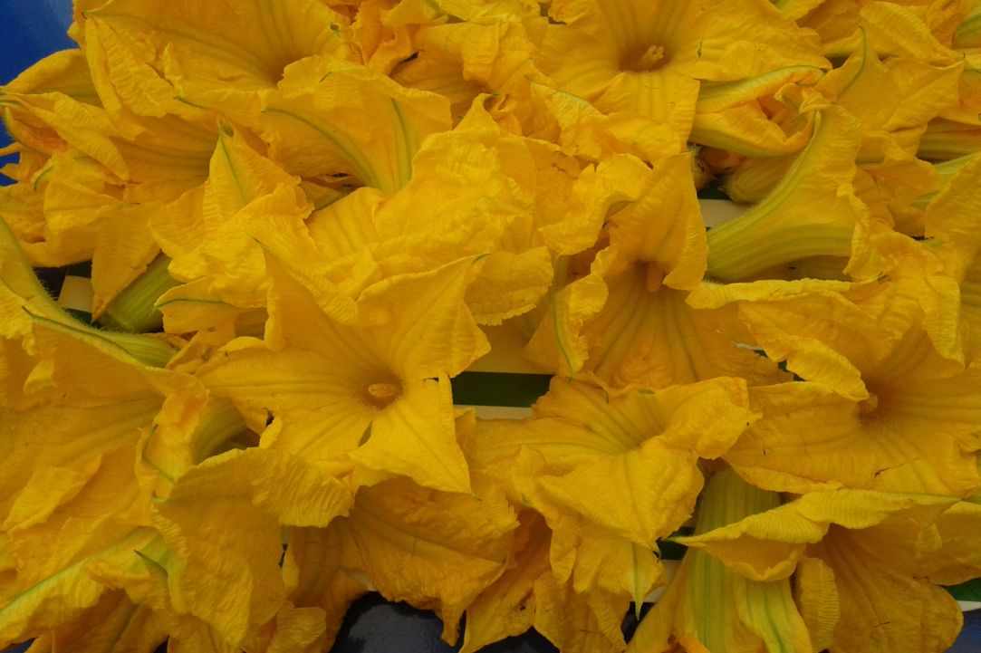 Stuffed zucchini blossoms recipe gallery image 2