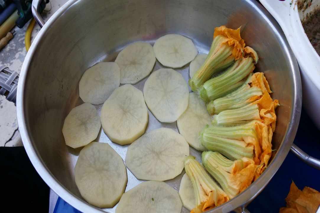Stuffed zucchini blossoms recipe