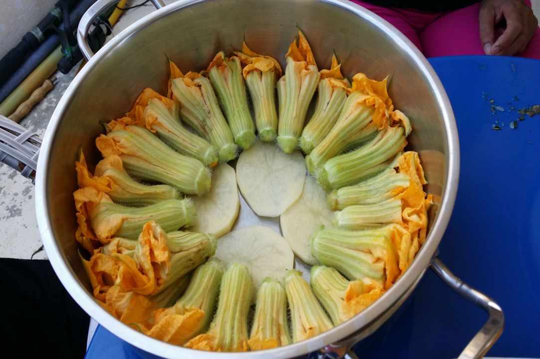 Stuffed zucchini blossoms recipe