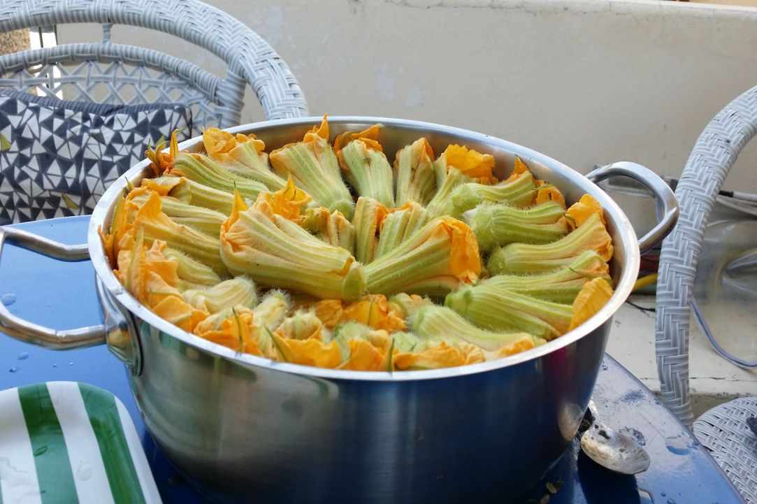 Stuffed zucchini blossoms recipe