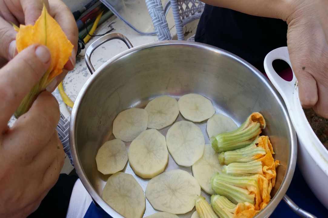 Stuffed zucchini blossoms recipe