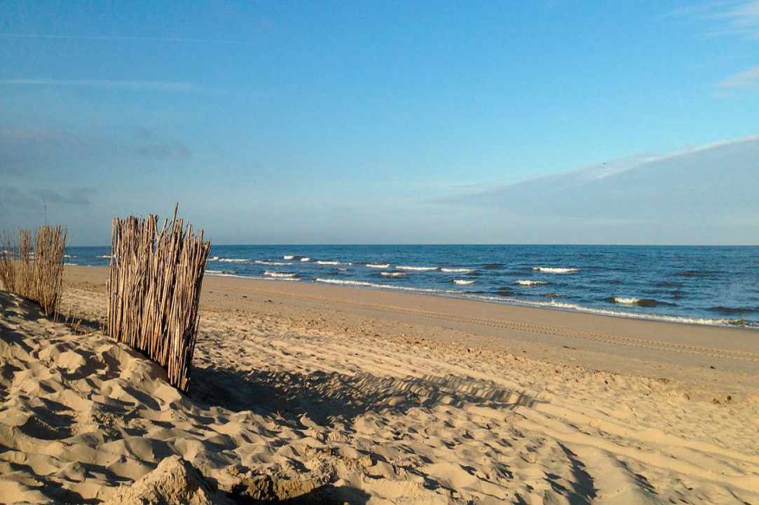 Sunshine & Beaches