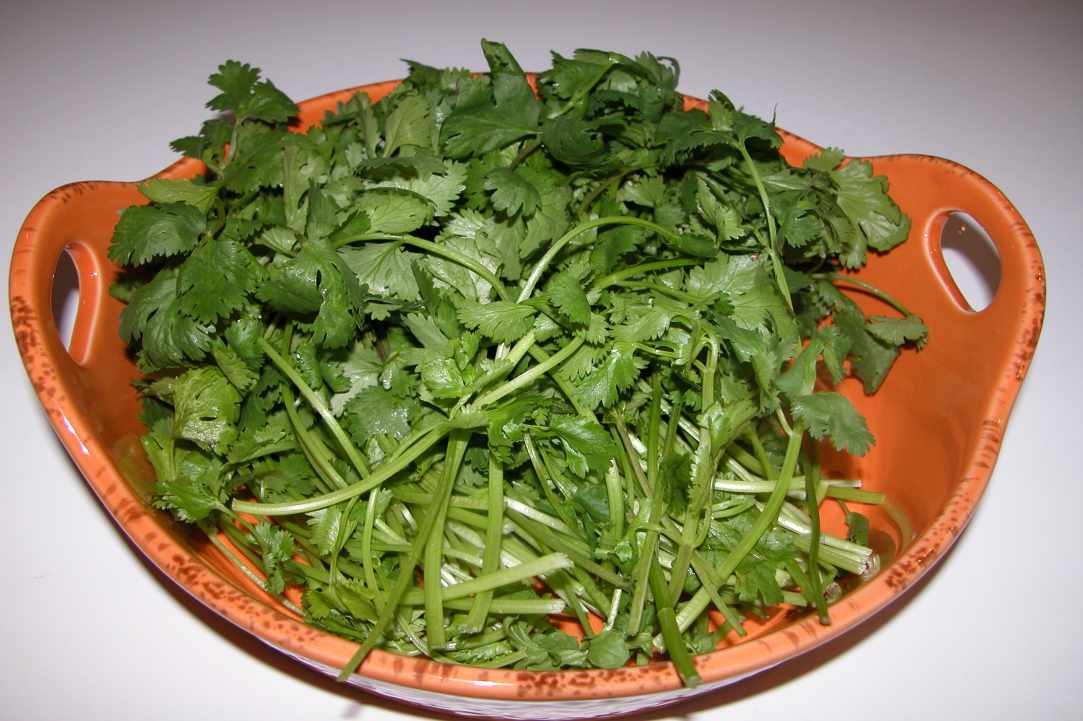 Village Salad