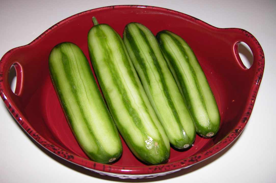 Village Salad