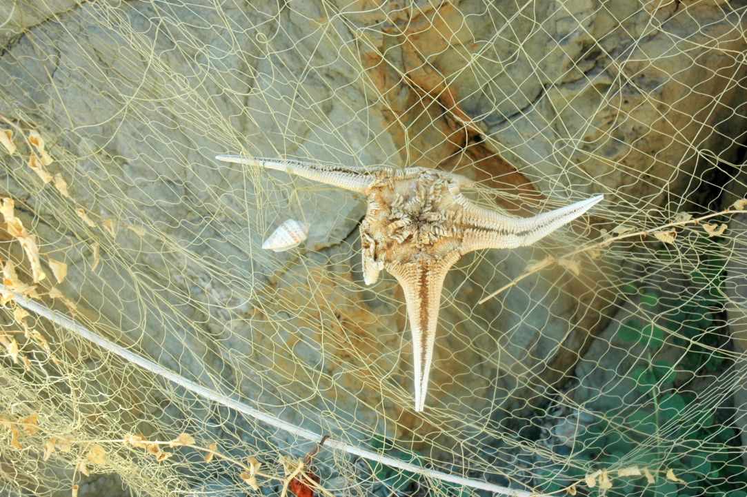 Pomos Fishing Port