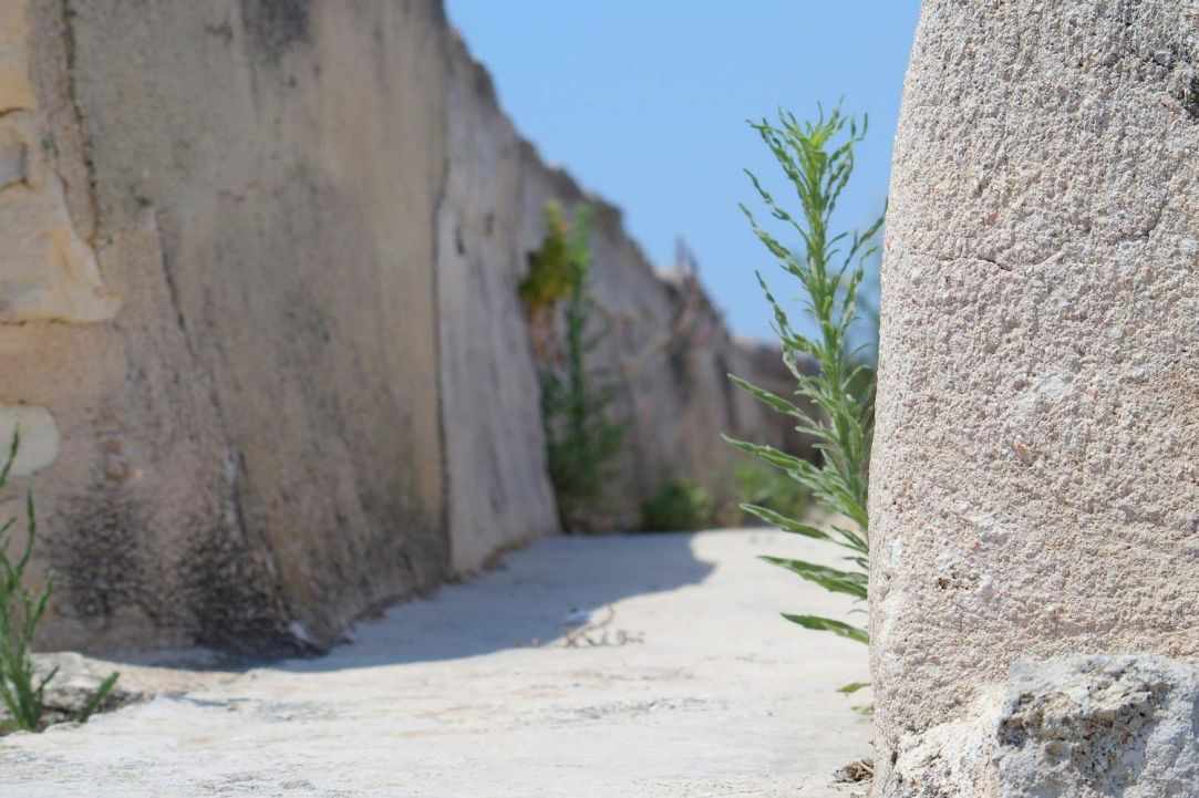 Kamares