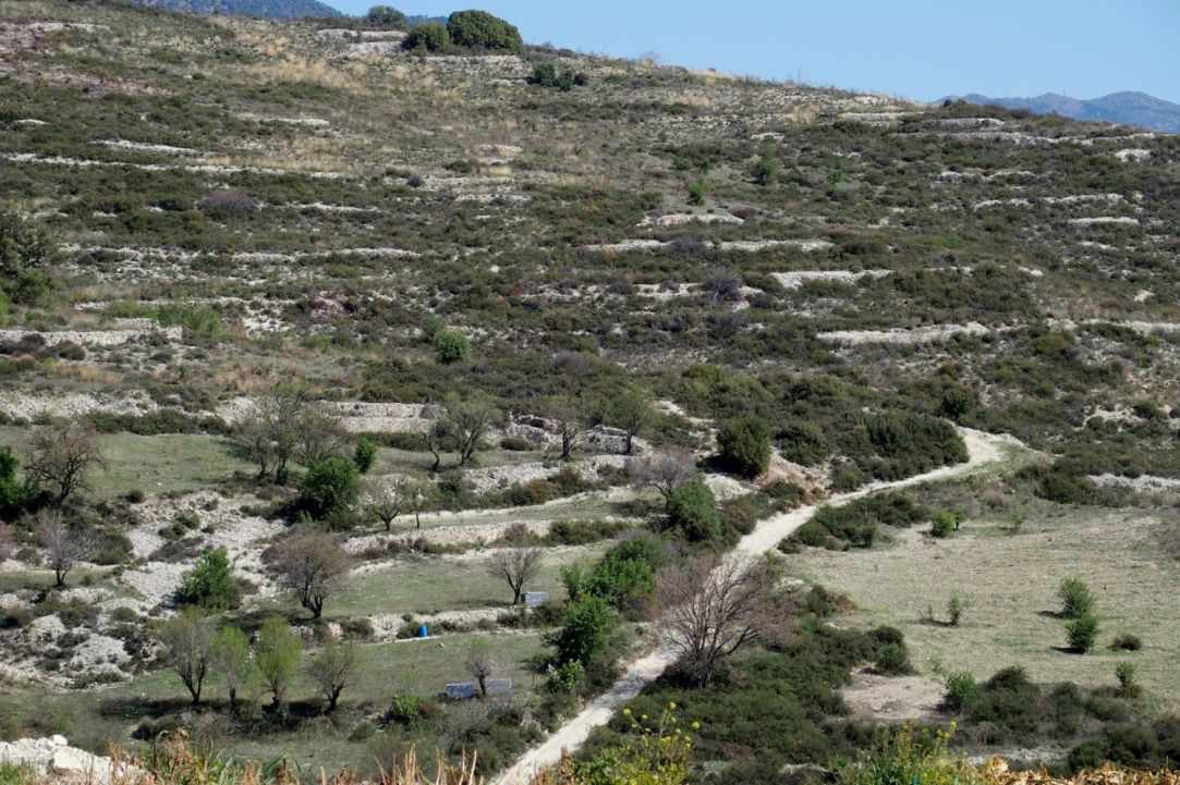 Kilani Village