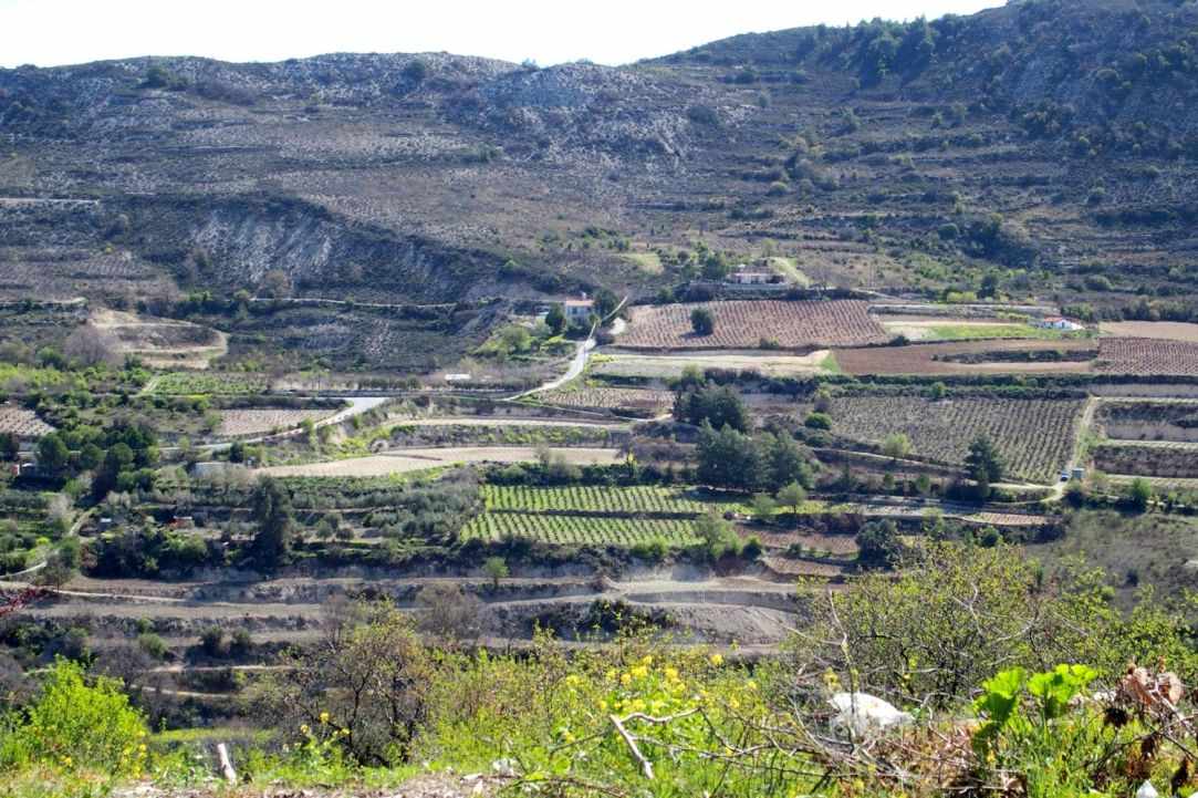 Kilani Village