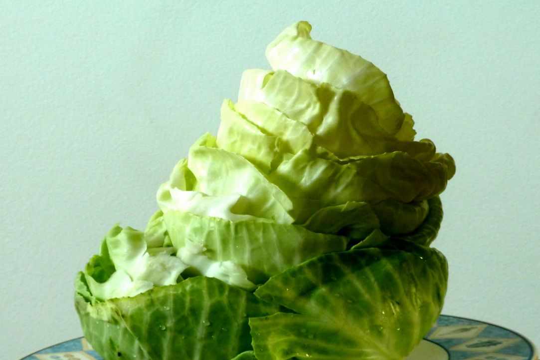 Lahanodolmades me avgolemono gallery image 2