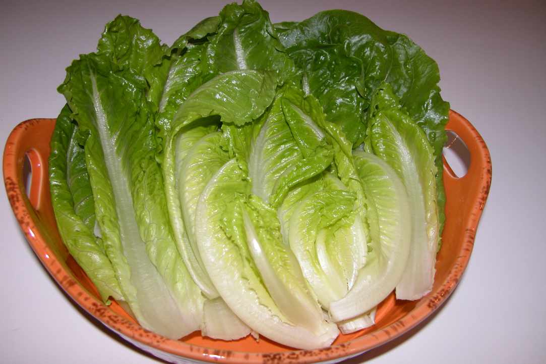 Village Salad