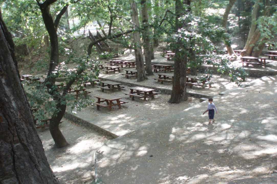Cyprus Forests are beautiful