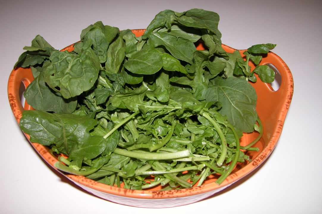 Village Salad