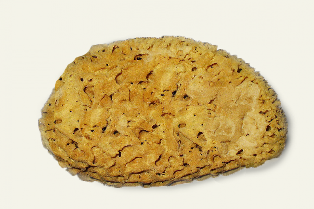 Cypriot sea sponge - Kapadiko natural sea sponge