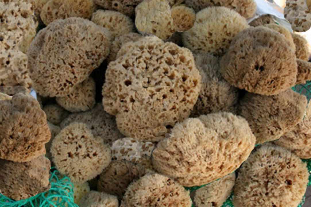 Cypriot sea sponge - Kapadiko natural sea sponge