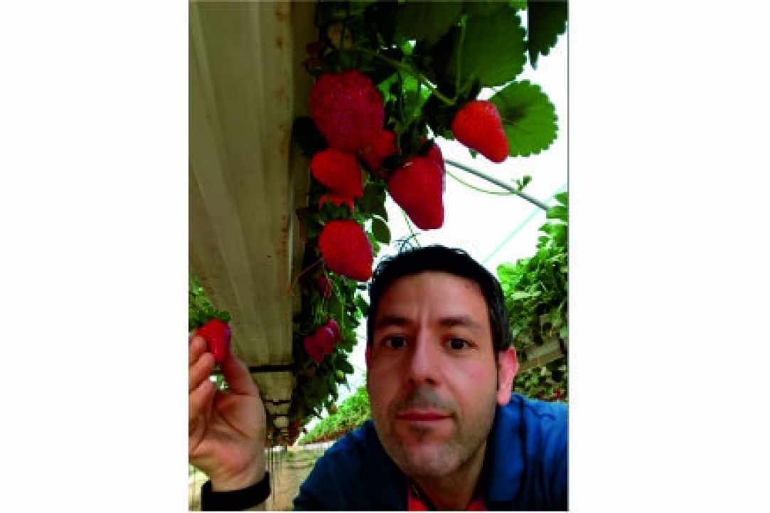 Marmellada Fraoula (Fresh Homemade Strawberry jam)
