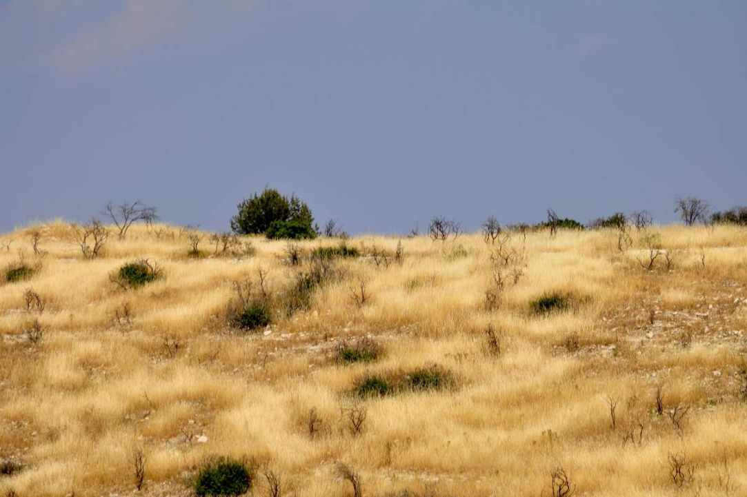 Highway A6: Limassol - Paphos