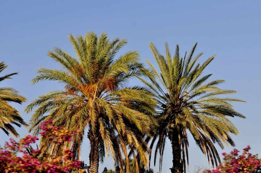 Highway A6: Limassol - Paphos